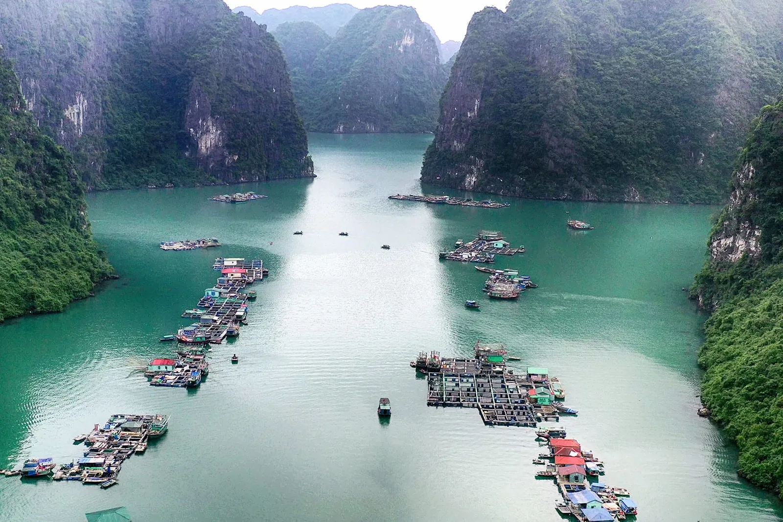 Aerial view of floating fish farms and houses clustered in emerald water surrounded by tall limestone karst islands covered in vegetation.