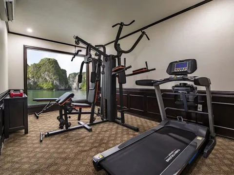 A fitness room with a treadmill and exercise equipment facing a window with limestone karsts and green water visible outside.