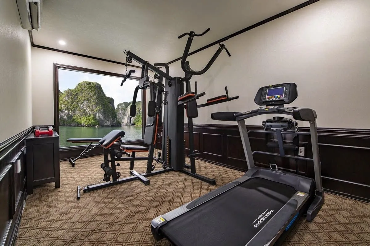A fitness room with a treadmill and exercise equipment facing a window with limestone karsts and green water visible outside.