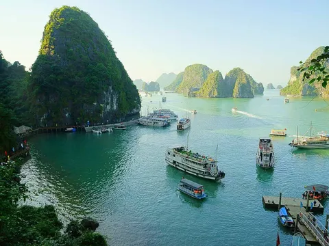 Wide view of Ha Long Bay showing multiple tourist boats anchored among towering limestone karsts and green-blue water, shot from an elevated shoreline viewpoint.