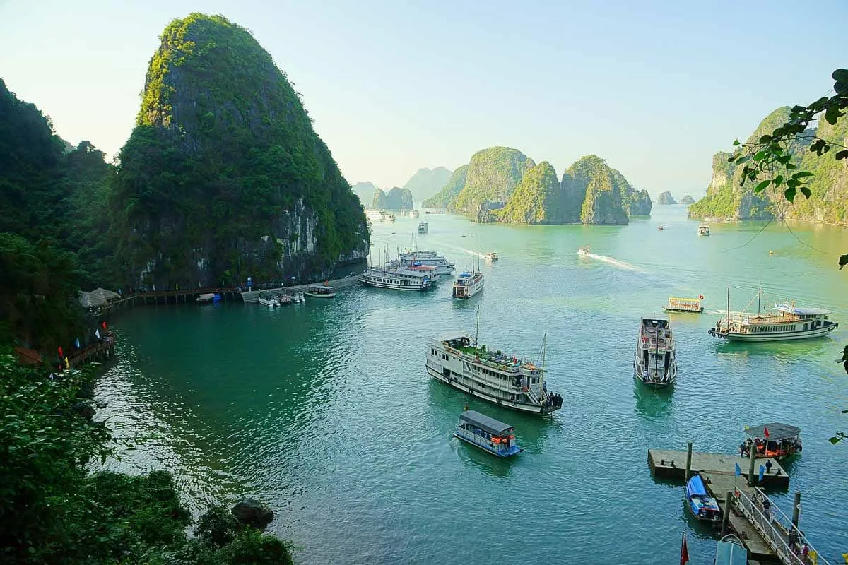 Wide view of Ha Long Bay showing multiple tourist boats anchored among towering limestone karsts and green-blue water, shot from an elevated shoreline viewpoint.