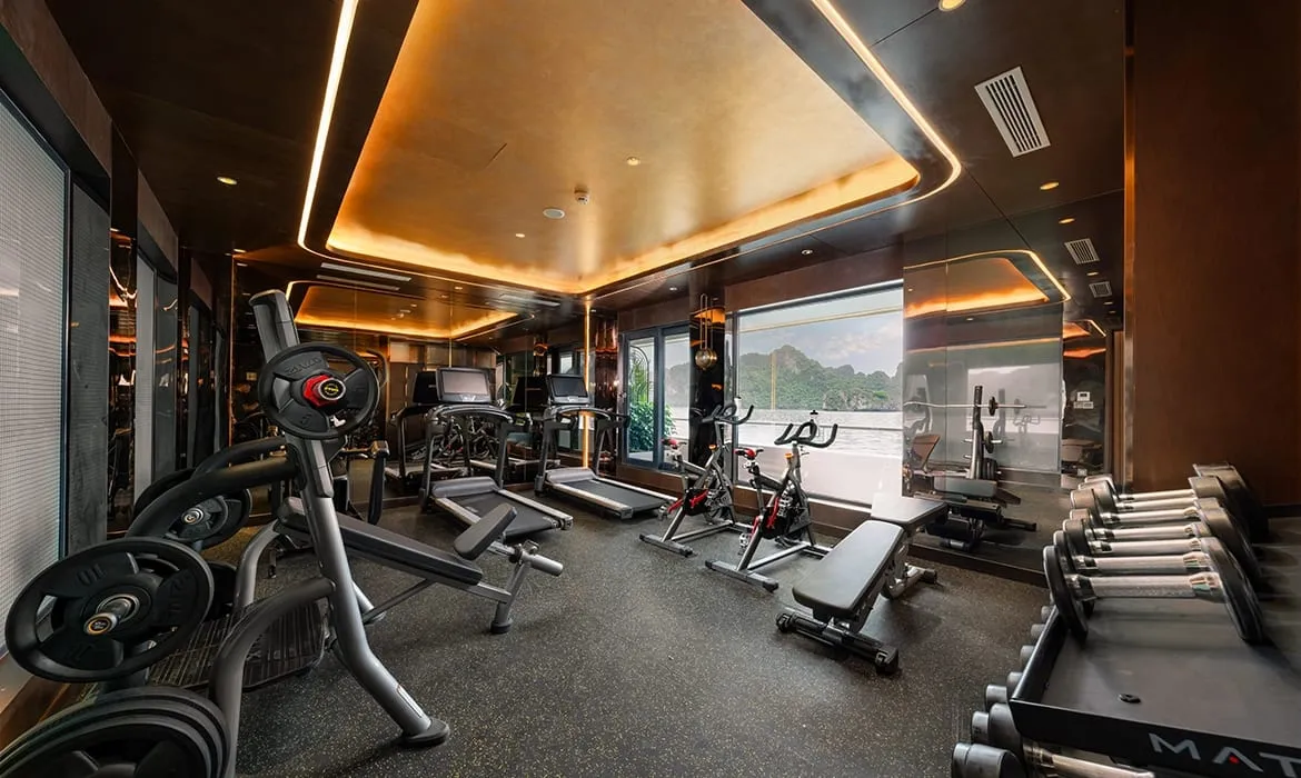 A well-equipped gym on a cruise vessel with treadmills, a spin bike, free weights, and weight machines, featuring large windows overlooking karst limestone islands on the water outside.