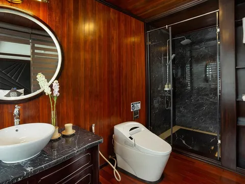 A luxury cruise boat bathroom with wood paneling, white vessel sink, modern toilet, and glass-enclosed shower with dark marble walls.
