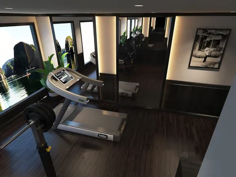A modern fitness room with treadmill and equipment inside a cruise boat cabin with large windows showing karst limestone formations in the water outside.