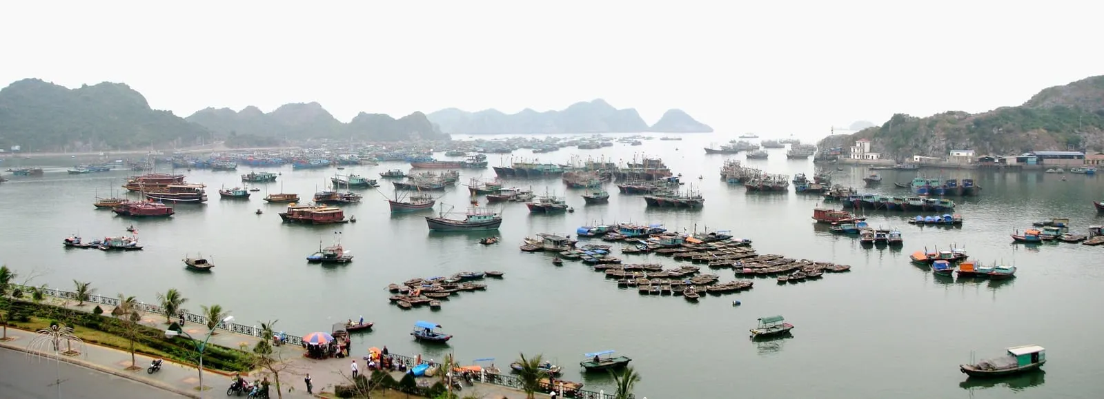 Fishing boats moored in Cat Ba harbour, with hills behind
