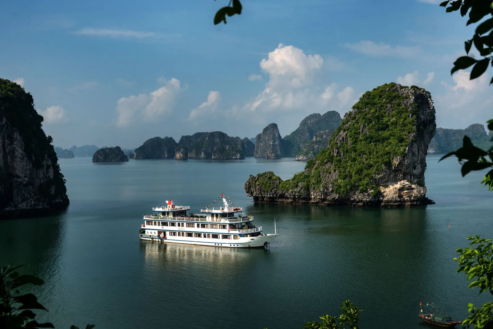 Swan at anchor in a channel between karst islands, seen through the leaves of a tree on the shore