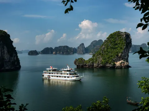 Swan at anchor in a channel between karst islands, seen through the leaves of a tree on the shore