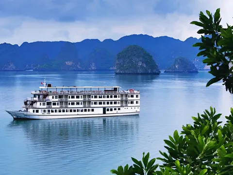 A white multi-deck cruise ship sails in calm blue water with dramatic limestone karst islands in the background, framed by green foliage in the foreground.