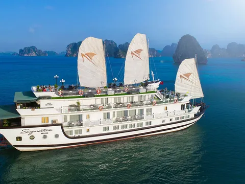 A large white multi-deck cruise junk with three white sails bearing a bird logo, named 'Signature Halong' painted on the hull, sailing among karst limestone islands.