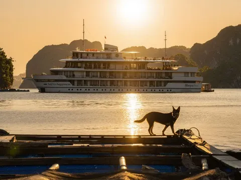 A large white multi-deck cruise ship sits in calm water at sunset with limestone karsts in the background and a dog standing on a small wooden boat in the foreground.