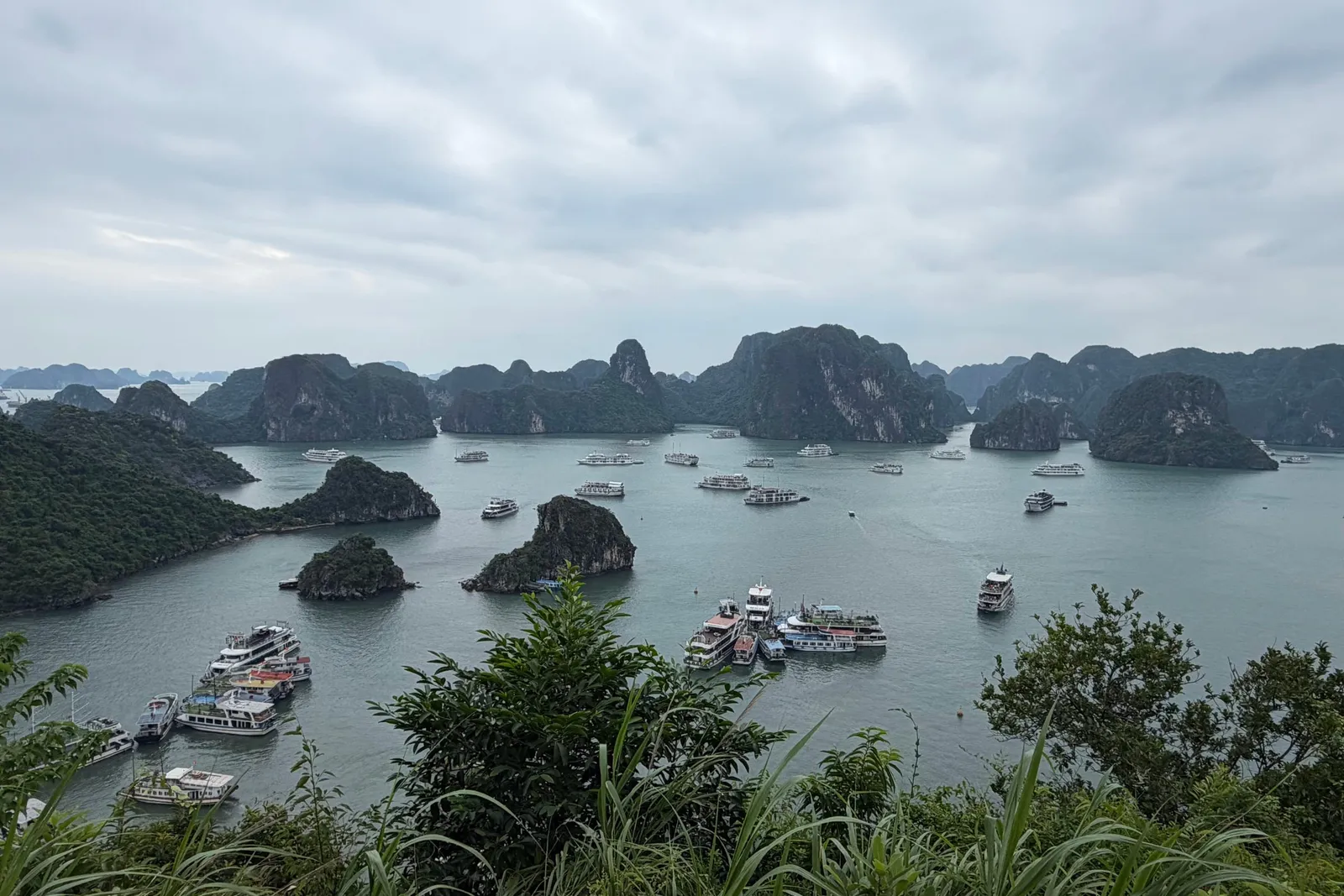 An elevated viewpoint over a bay of green water with many tour boats anchored among limestone karst islands under an overcast sky, with foliage in the foreground.