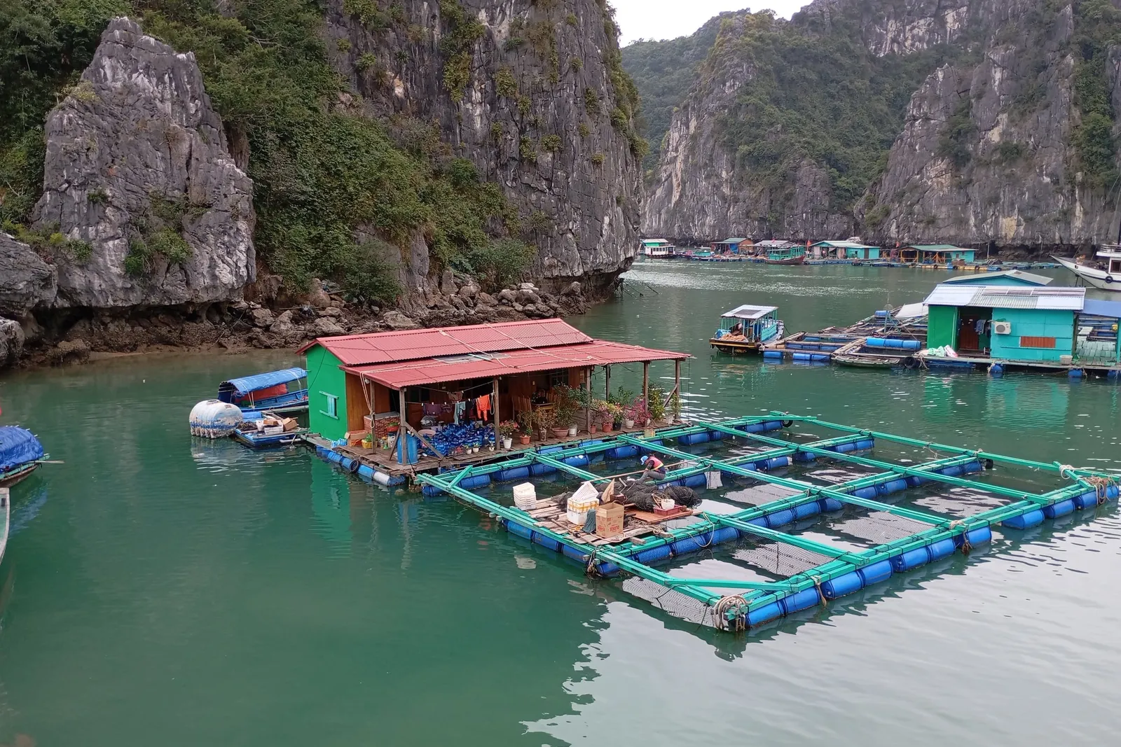 A floating fishing village with a red-roofed house and net pens on blue barrels sits in green water, surrounded by steep limestone karst cliffs covered in vegetation.