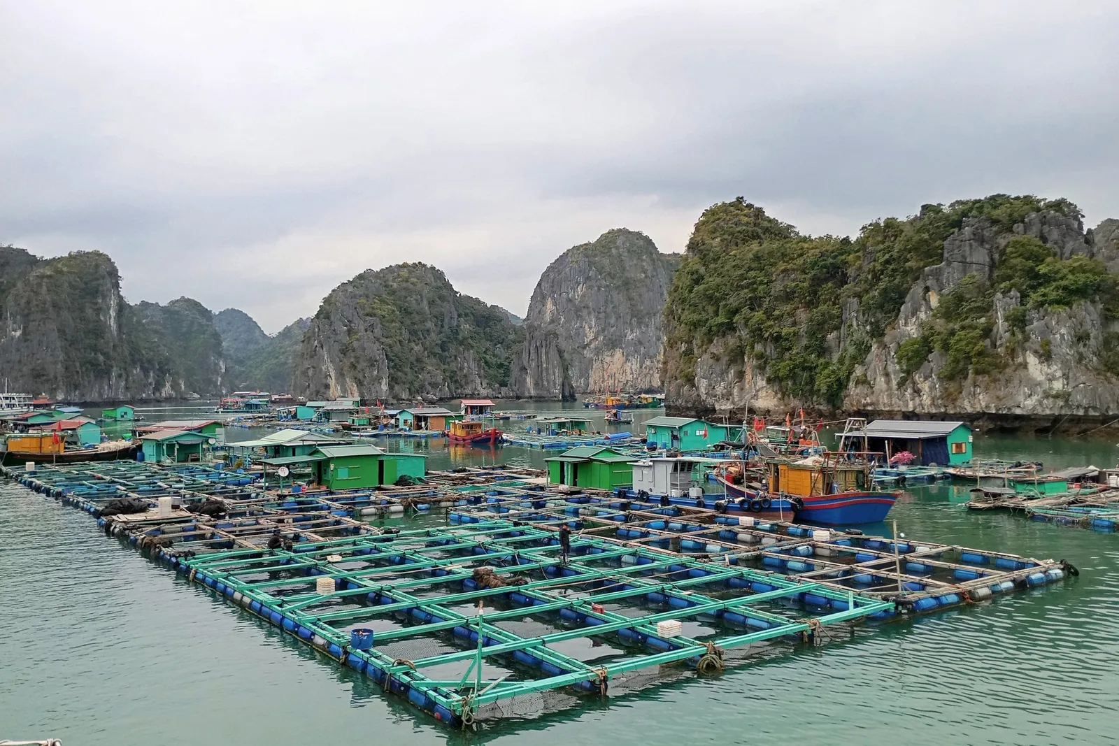 A floating fishing village with green houses and fish-farm pens on jade water, with moored boats and forested limestone karsts under an overcast sky, seen from a boat with a bit of its edge in the bottom-left corner.
