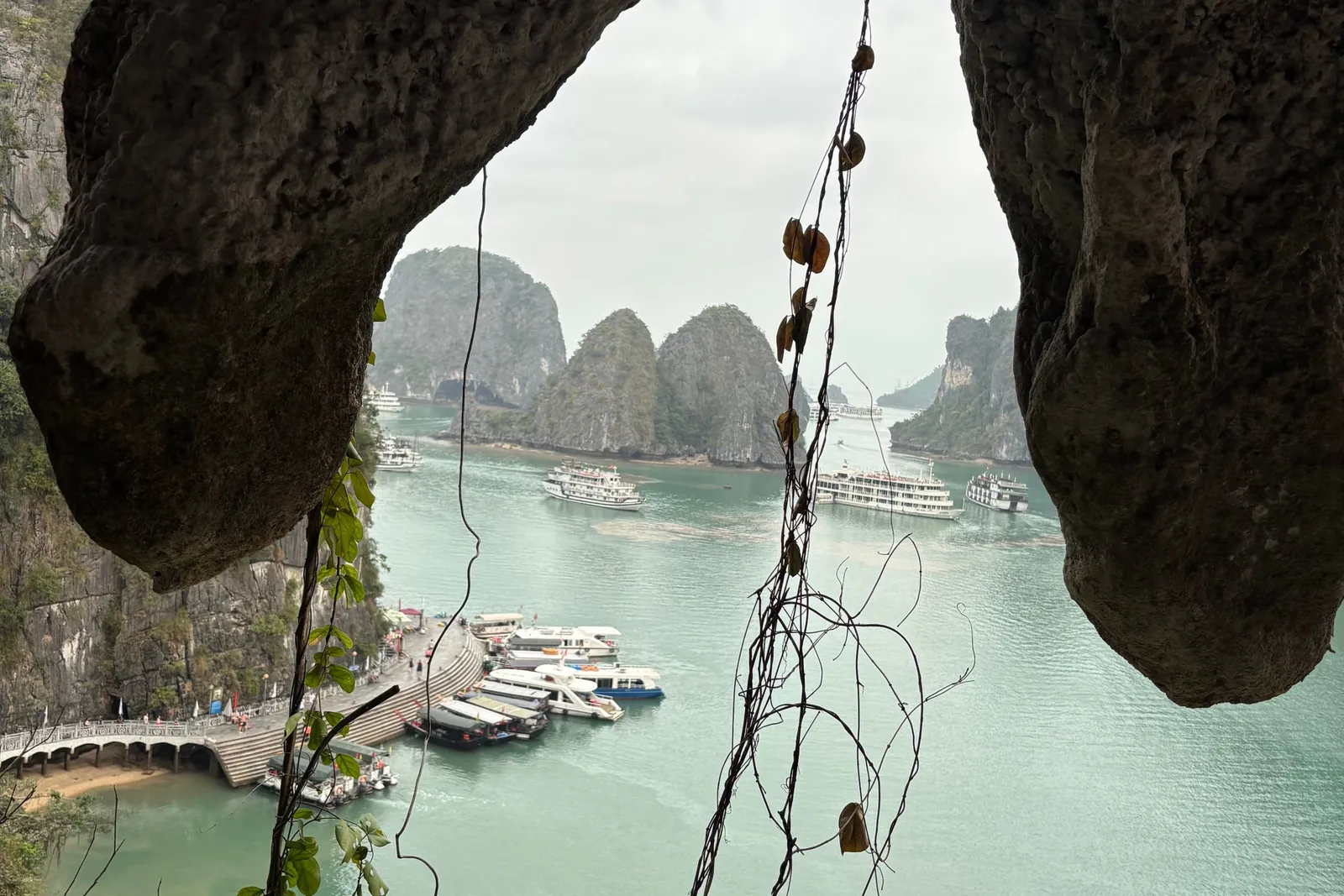 A view from inside a cave opening, framed by rock formations and hanging vines, looking down at a jetty with tour boats moored and cruise ships anchored among limestone karst islands in turquoise water.