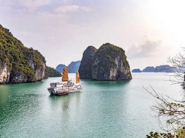A white cruise boat with orange junk-style sails sits on green water among limestone karst islands, photographed from an elevated shore viewpoint with tree branches in the right foreground.