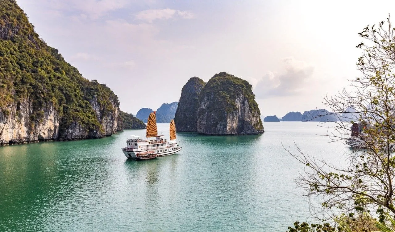 A white cruise boat with orange junk-style sails sits on green water among limestone karst islands, photographed from an elevated shore viewpoint with tree branches in the right foreground.