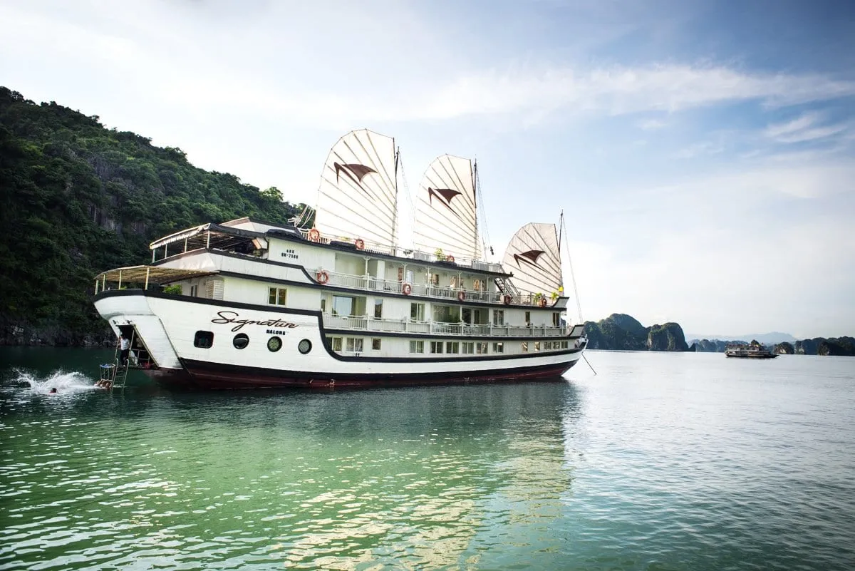 A white multi-deck cruise boat with three sails and 'Signature' painted on its hull sits on green water beside a forested limestone hill, with a swimmer splashing near the stern ladder and karst islands in the distance.