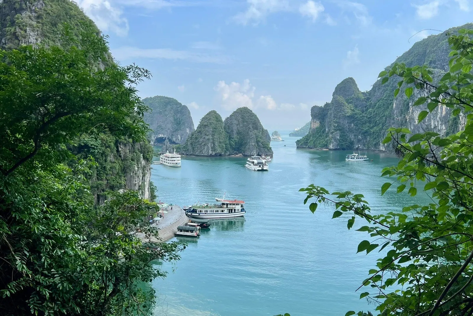 An elevated view through green foliage of turquoise bay water with limestone karst islands, a pier on the left, and several tour boats moored or cruising.