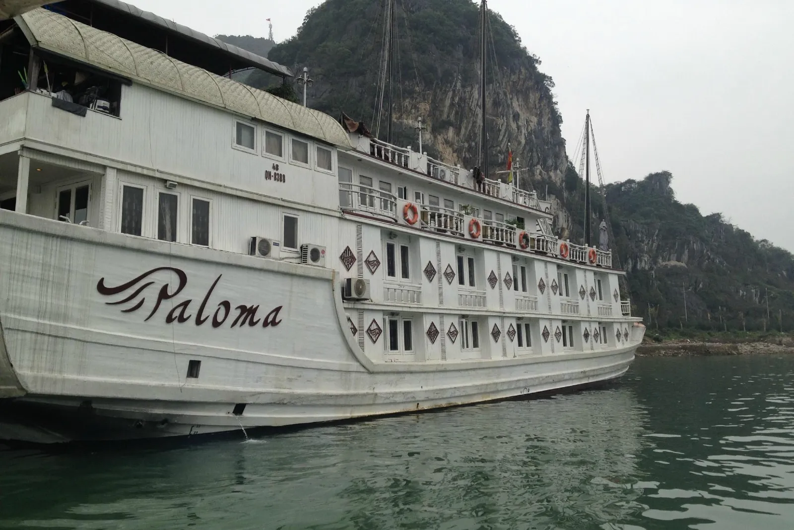 A white multi-deck cruise boat with 'Paloma' painted on its hull sits on green water beside a steep tree-covered limestone karst under an overcast sky, photographed from another vessel.